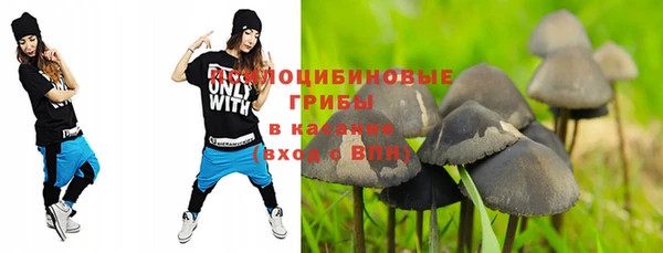 2c-b Карпинск